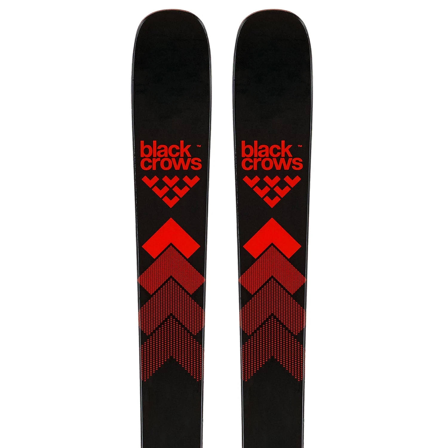 Camox Skis 2025