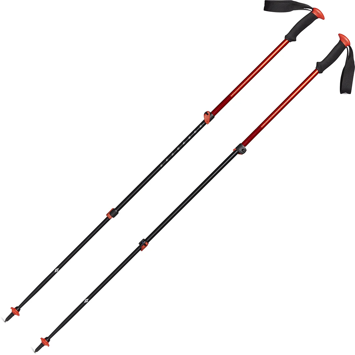 BLACK DIAMOND TRAIL SPORT TREK POLES OCTANE  - Hiking pole