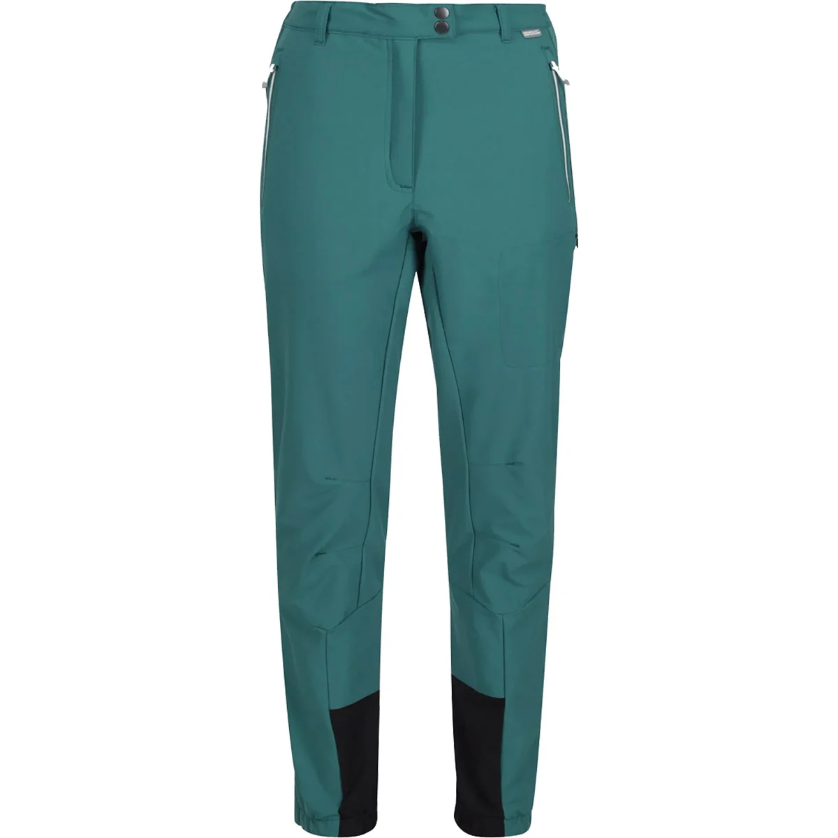 REGATTA W MOUNTAIN WINTER TRS DRAGONFLY  - Hiking trousers
