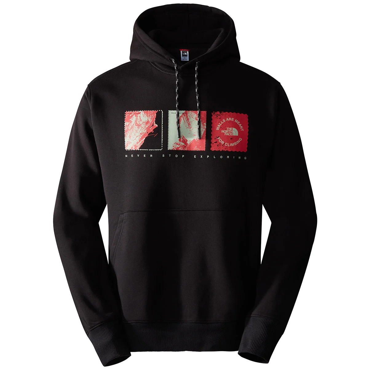 THE NORTH FACE OUTDOOR GRAPHIC HOODIE TNF TNF BLACK  - Sweatshirt