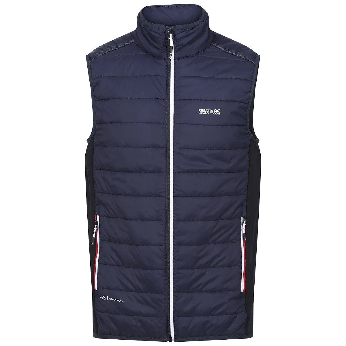 REGATTA HALTON B/W VII NAVY  - Hiking down jacket