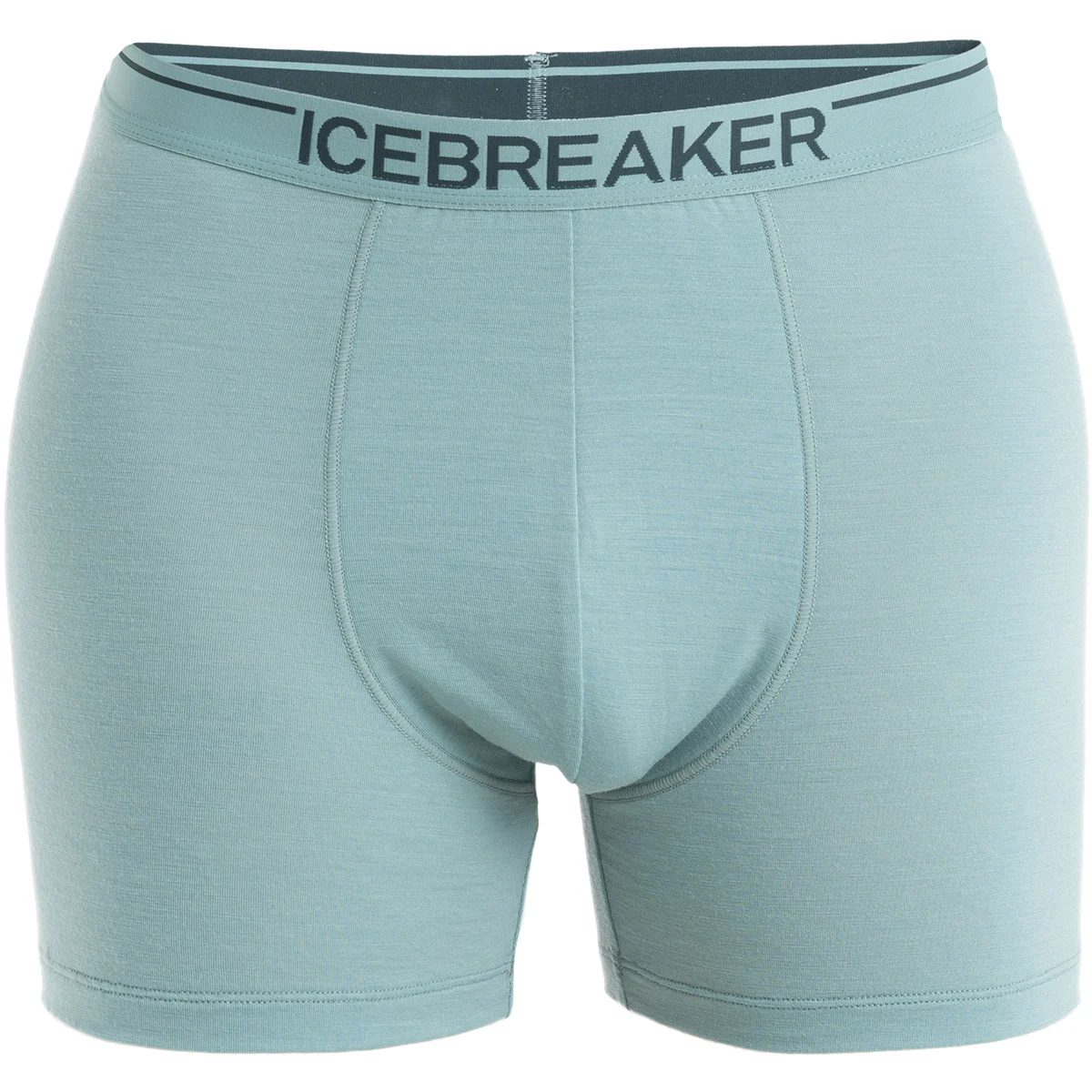 ICEBREAKER ANATOMICA BOXERS CLOUD RAY  - Underwear