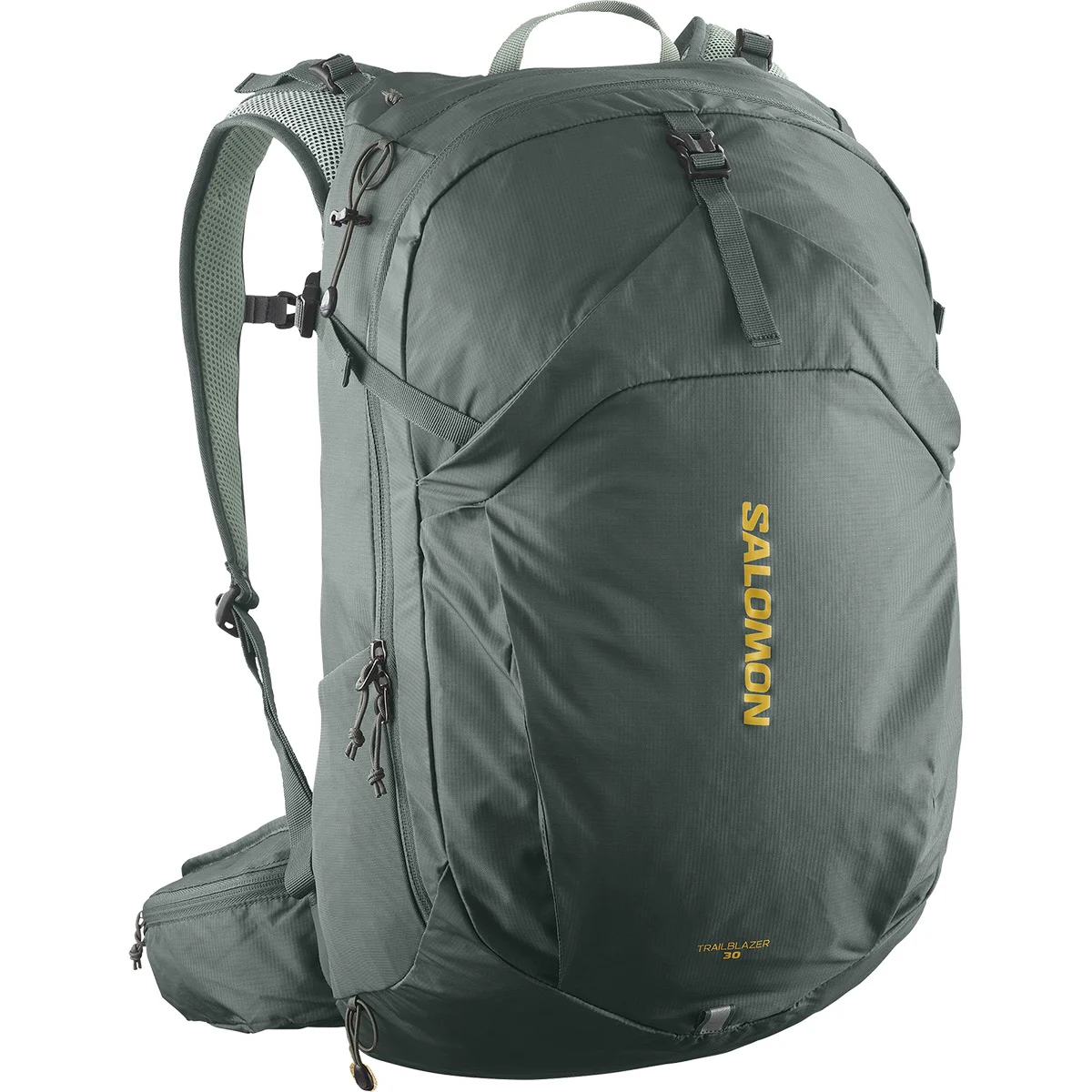 SALOMON TRAILBLAZER 30 URBAN URBAN CHIC/GREEN MILIEU  - Trail running bag