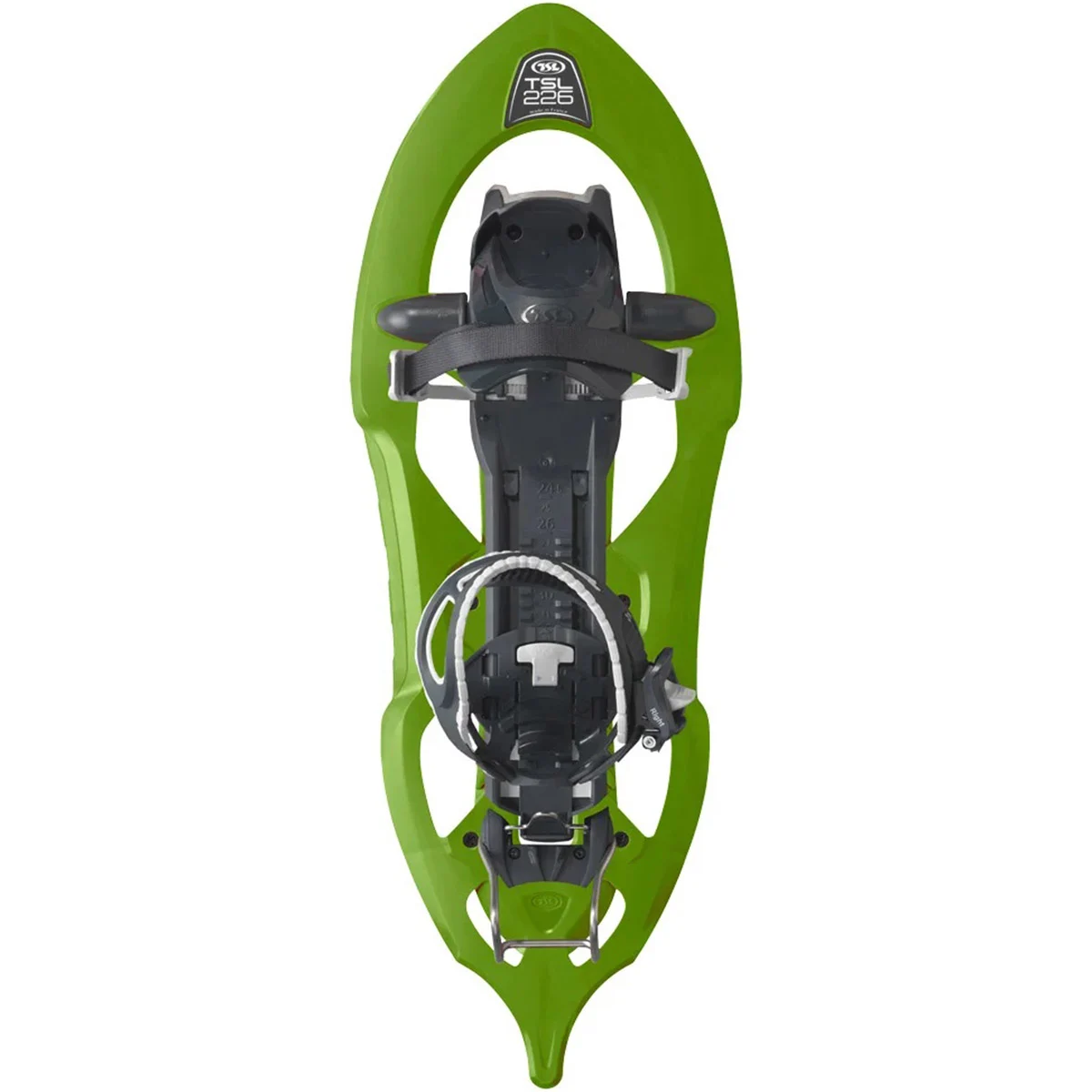TSL 226 CACTUS  - Snowshoe