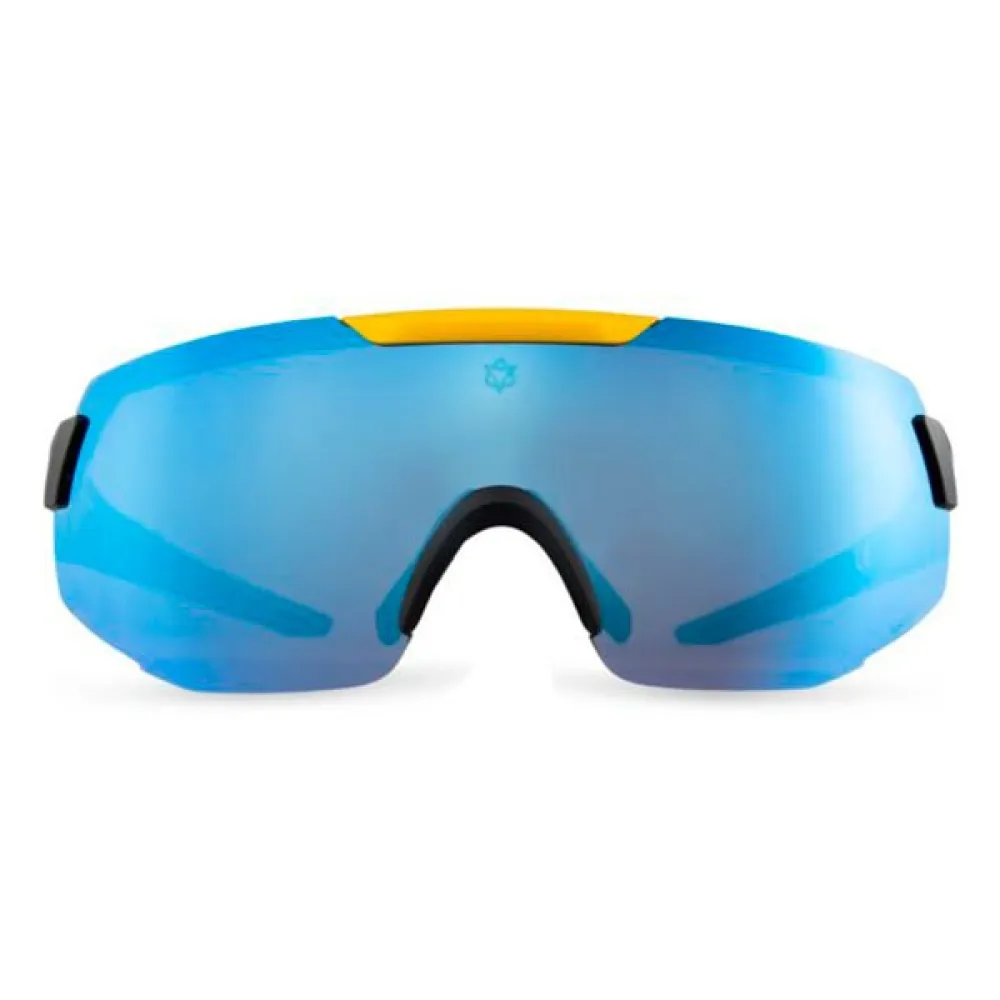 AGU Pride sunglasses
