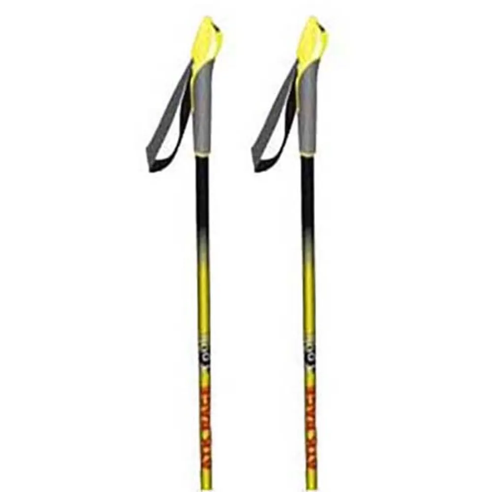 Atk Race Race Tour poles