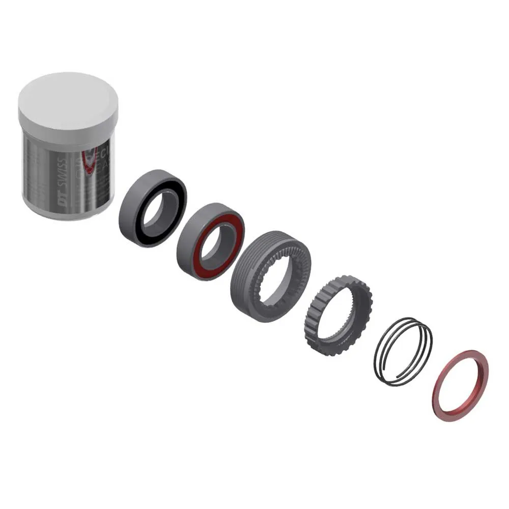 DT Swiss Ratchet 54t 240 EXP service kit