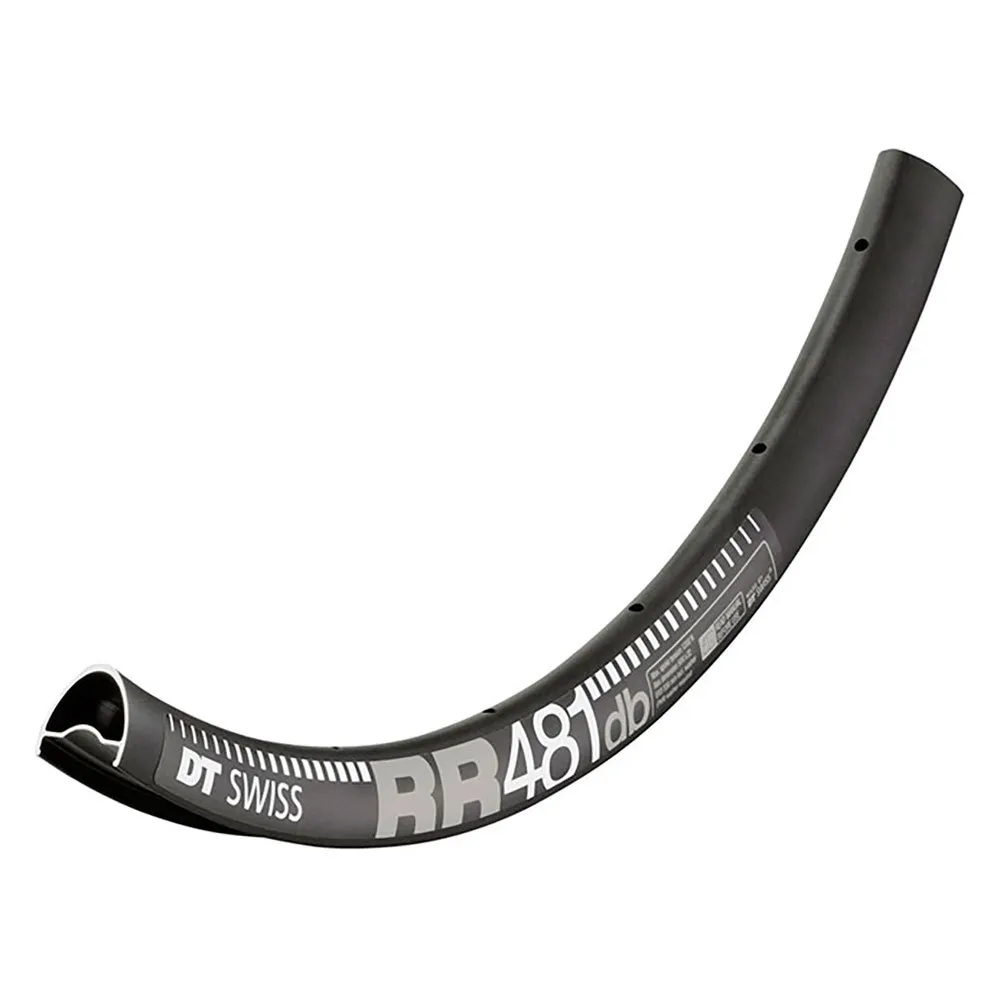 DT Swiss RR 481 Disc rim