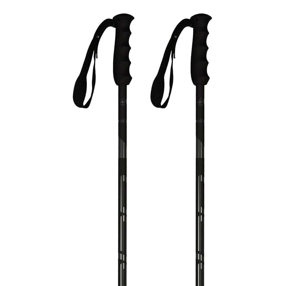 Elan Speedrod poles refurbished
