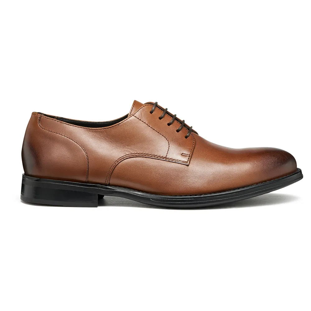 Geox Barberigo shoes