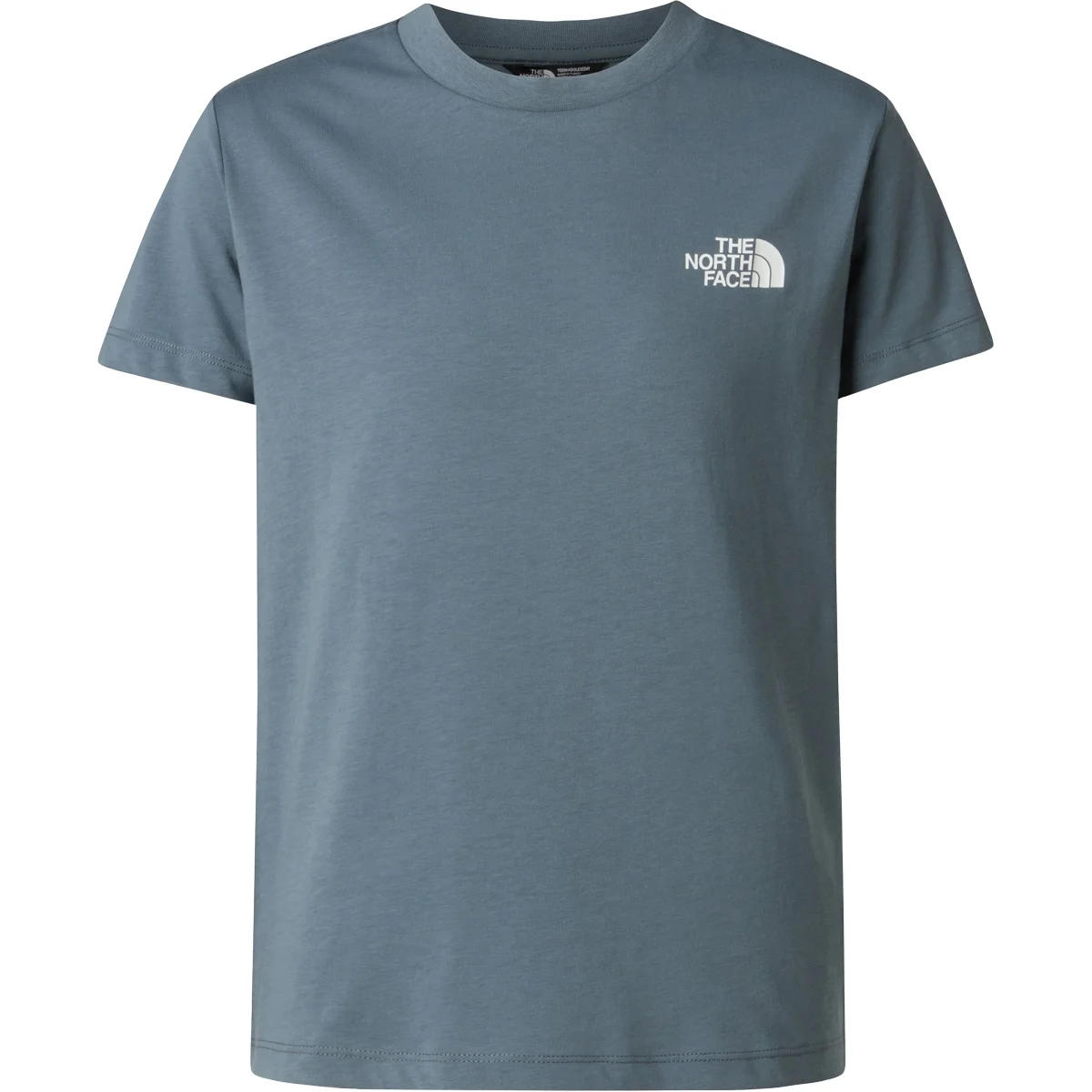 THE NORTH FACE TEEN BOX NSE REGULAR SS TEE GRANITE GREY  - T-shirt
