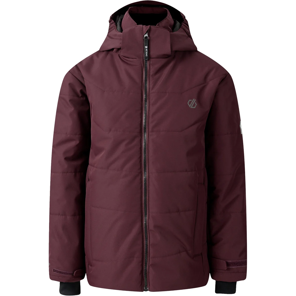 DARE 2B EXPLORER JKT JR FIG  - Ski jacket