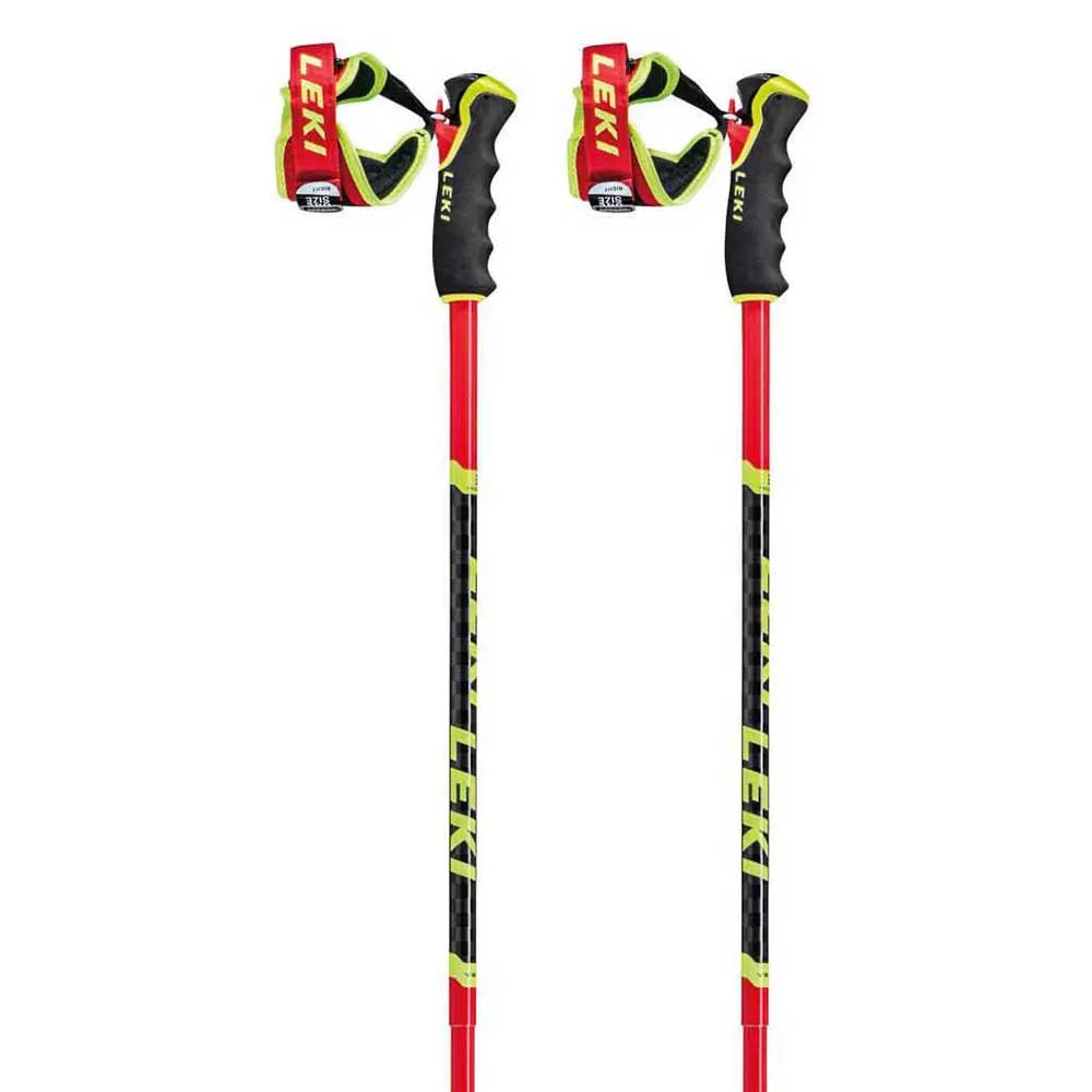 Leki Alpino Venom GS 3D poles