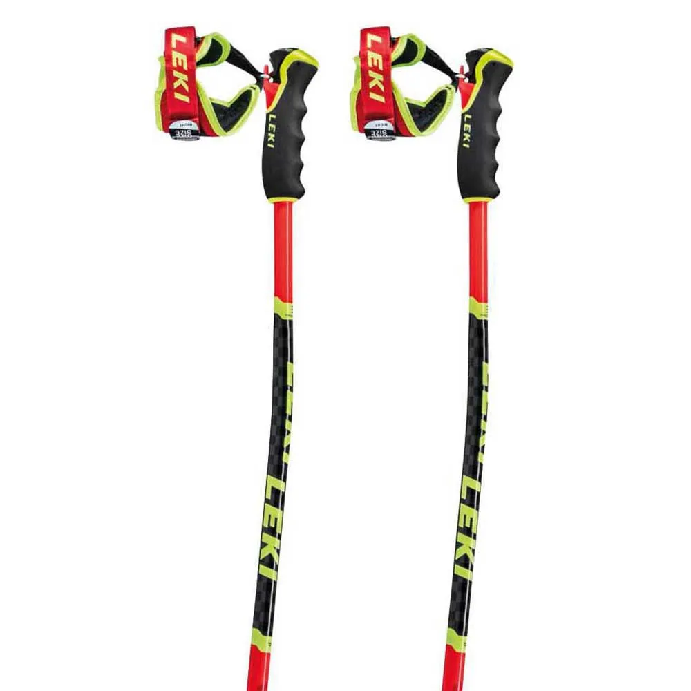 Leki Alpino WCR TBS GS 3D poles