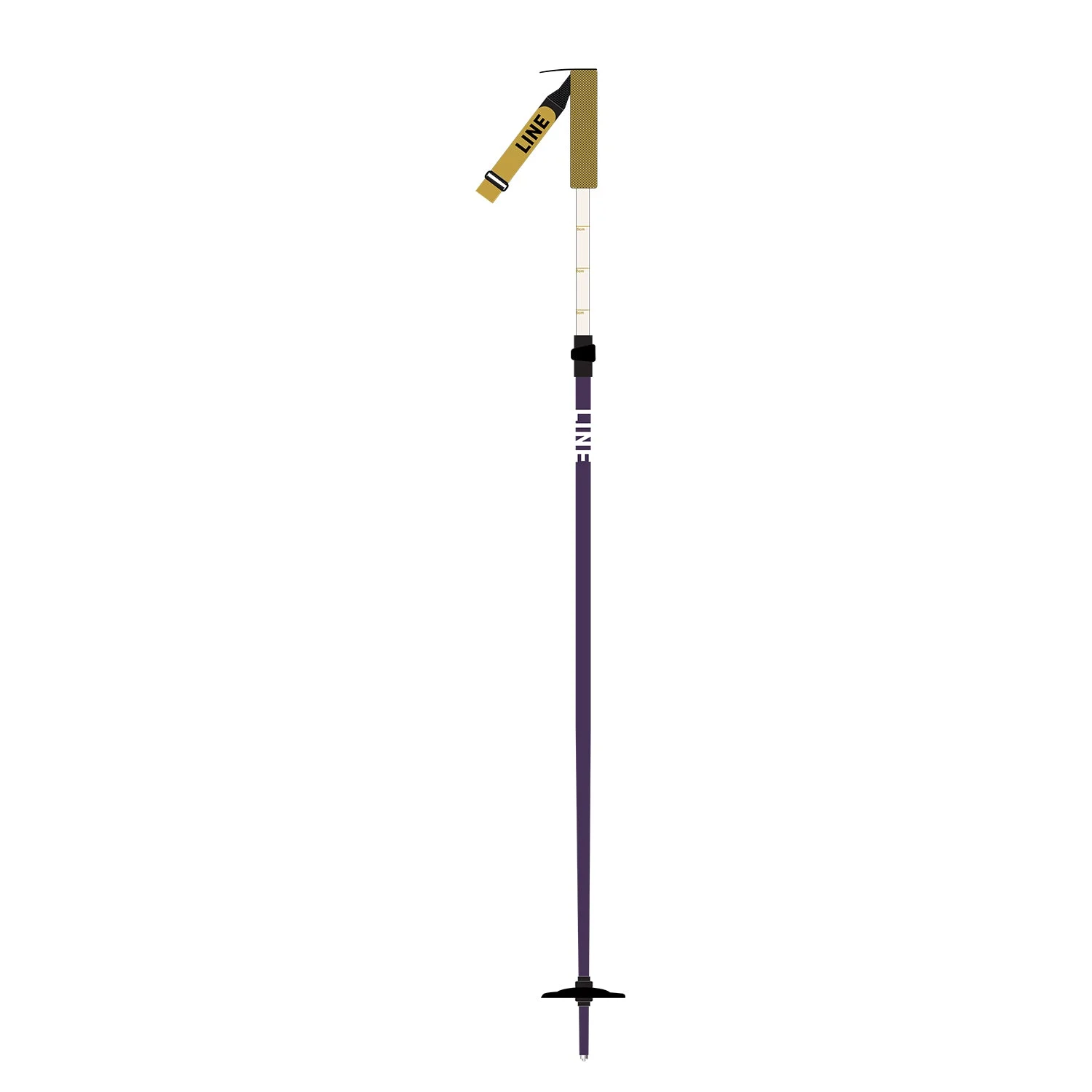 Paintbrush Adjustable Ski Poles 2026