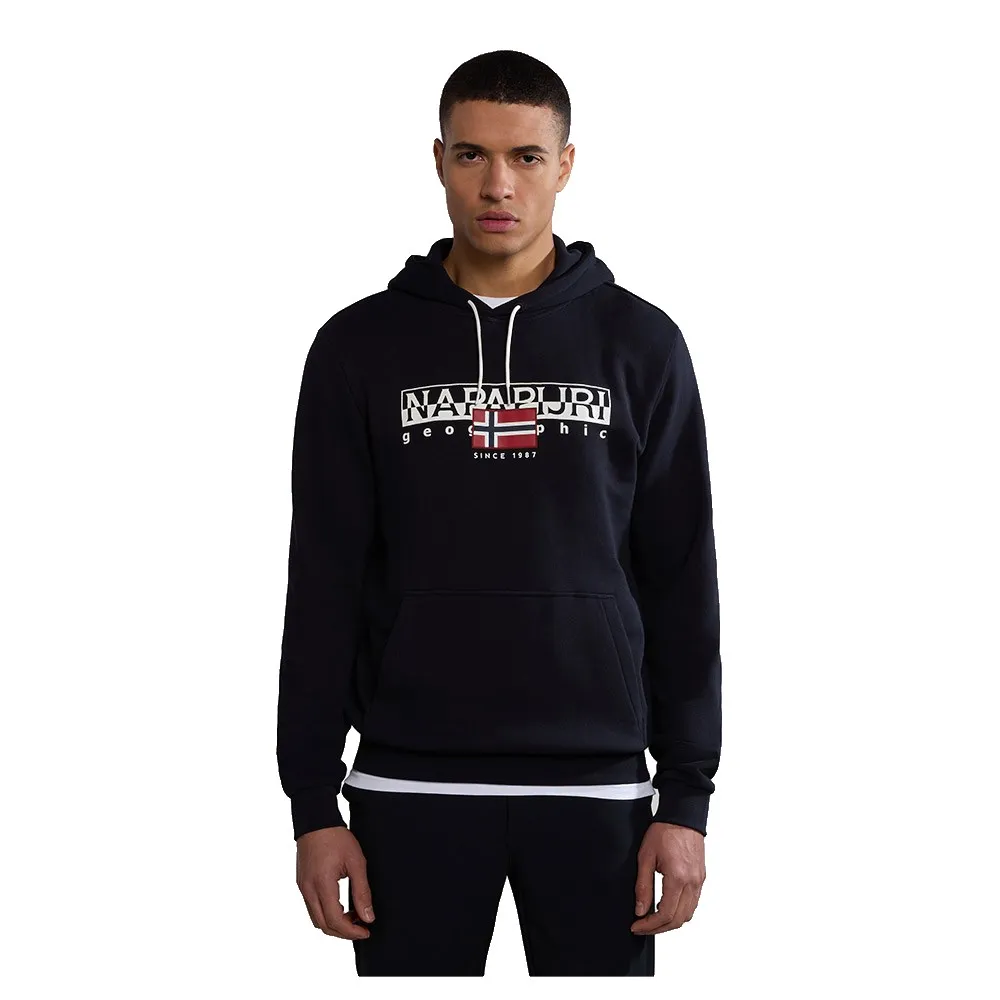 Napapijri Aylmer hoodie