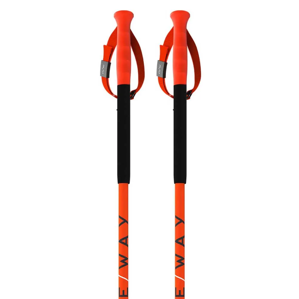 One Way FR 18 Pro poles