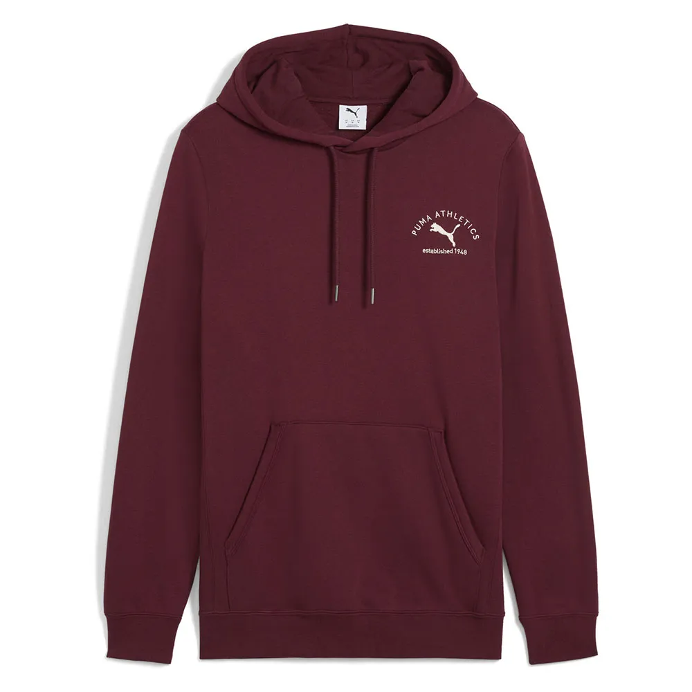 Puma Class Graphic hoodie