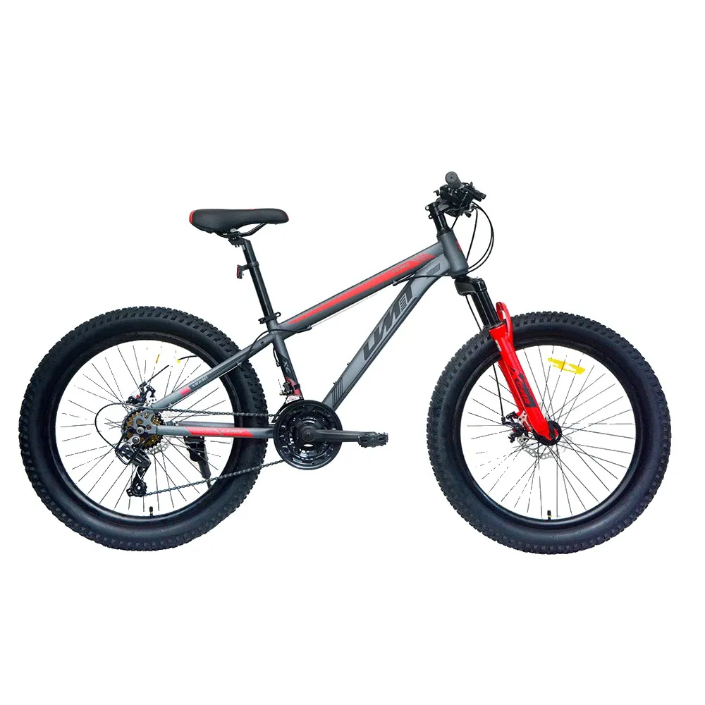 Umit Spartan X 24´´ bike refurbished
