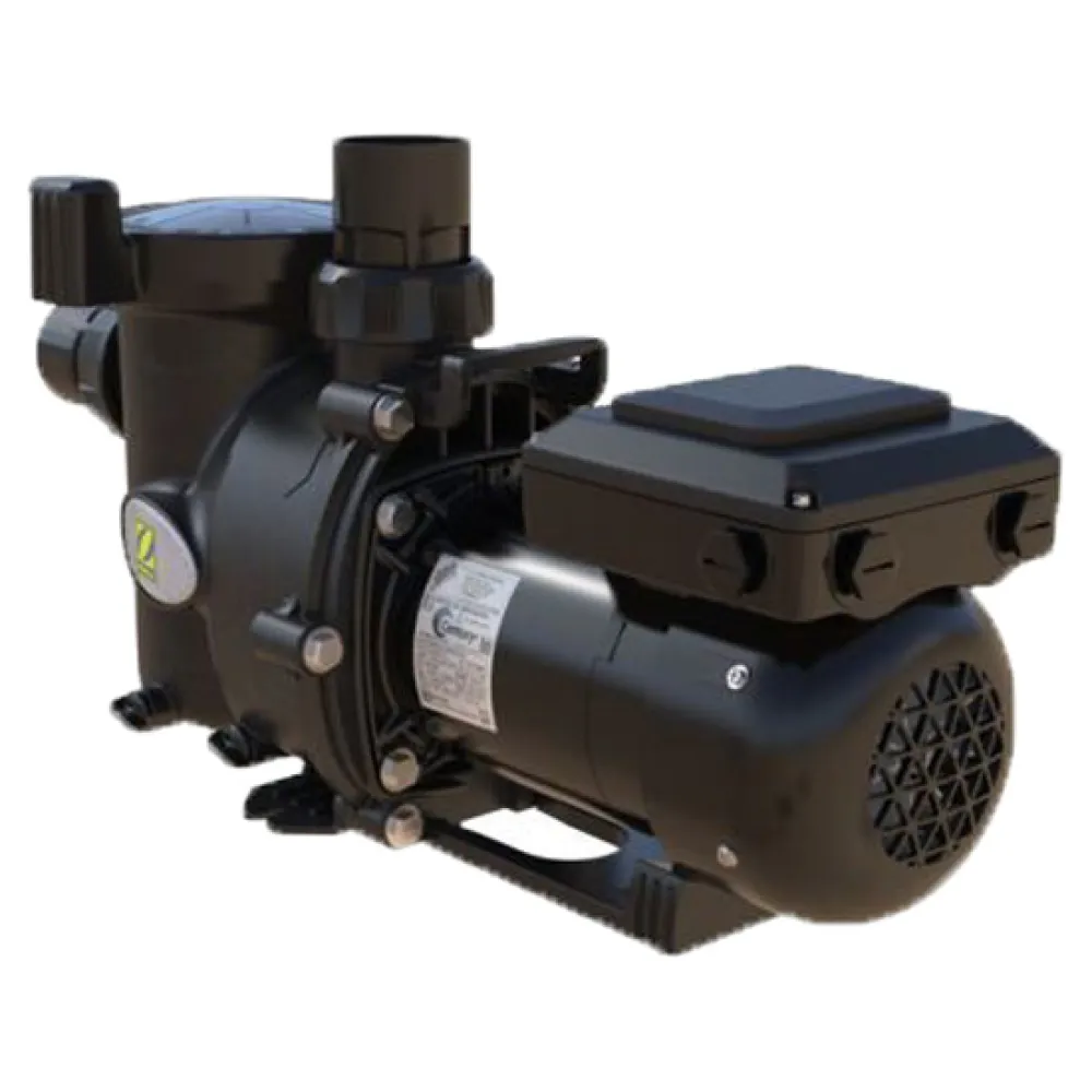 Zodiac E30iQ 100 variable speed pump